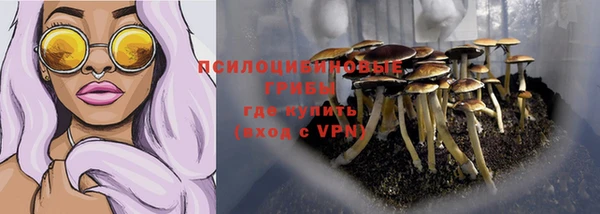 PSILOCYBIN Сафоново