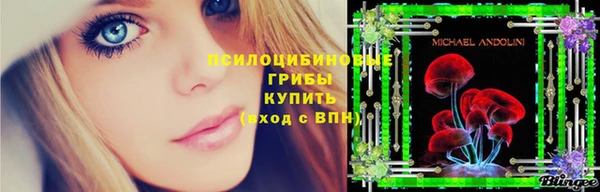 ECSTASY Вяземский