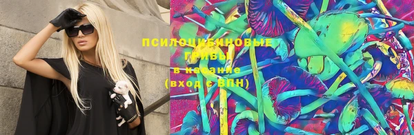 spice Вязники