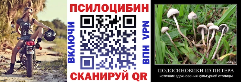 Псилоцибиновые грибы Cubensis  Верхняя Салда 